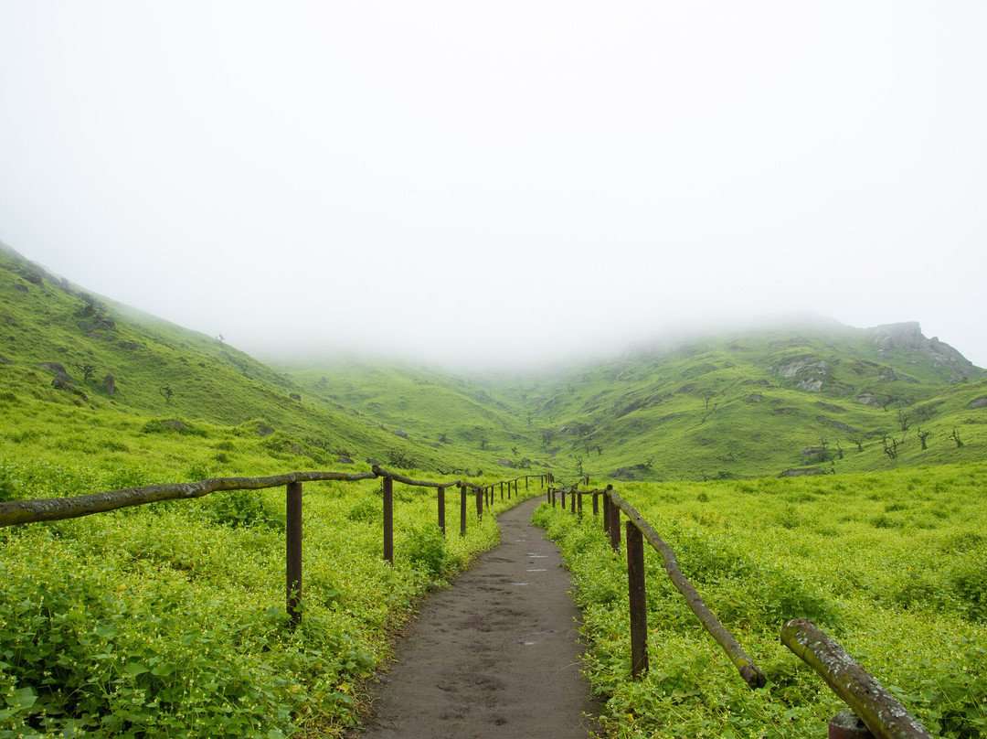 Reserva Nacional Lomas de Lachay-Huaral必去景点