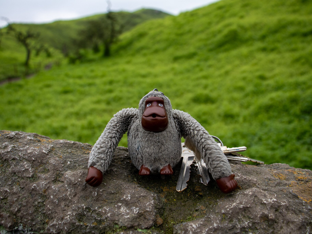 Reserva Nacional Lomas de Lachay-Huaral必去景点