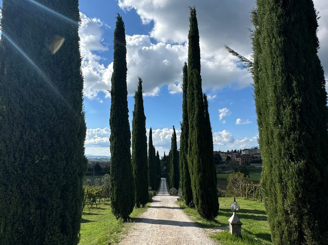 Villa La Ripa-阿雷佐必去景点