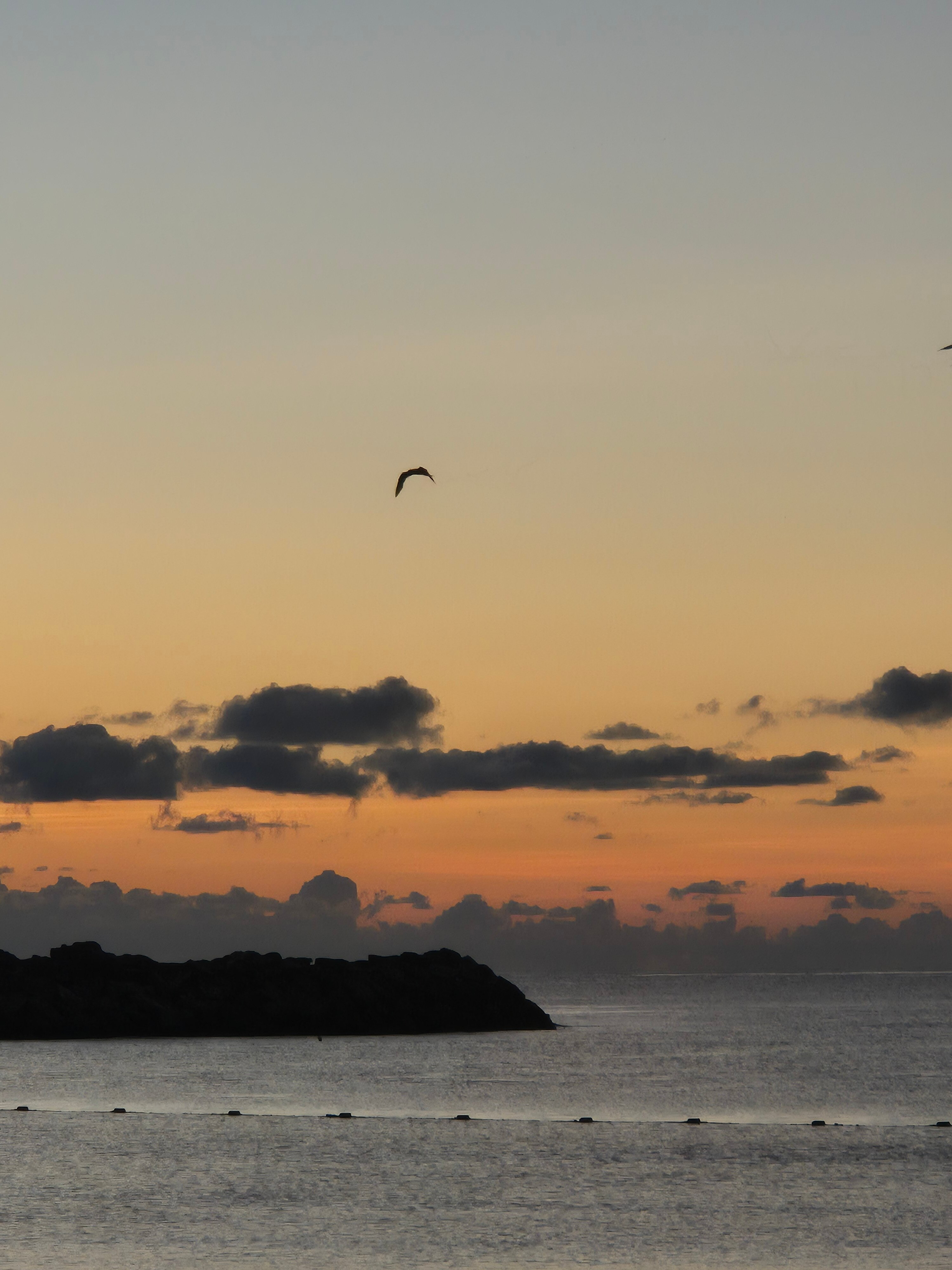 诺玉海滨坎昆度假村-泳池