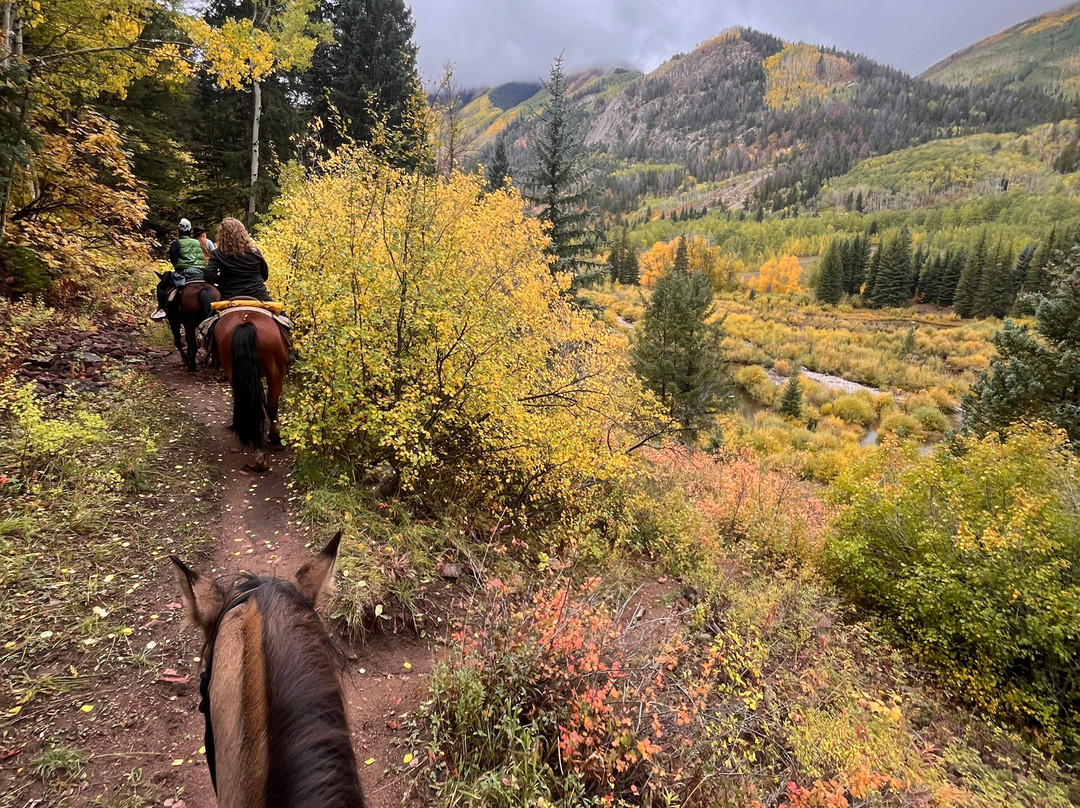 Snowmass Creek Outfitters-斯诺马斯村必去景点