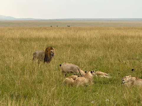 Safaris By Jon-坎帕拉必去景点