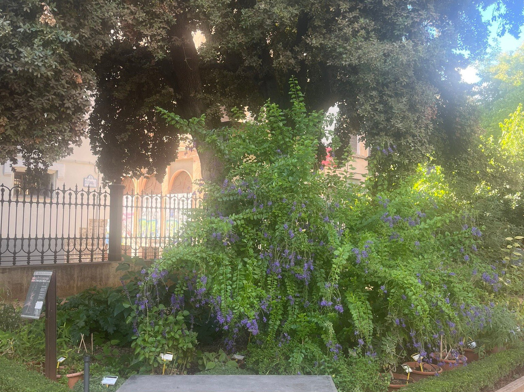 Jardin Botanico de la Universidad de Granada-格拉纳达必去景点