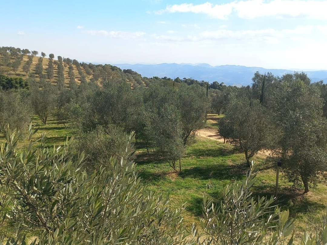 Magadu Olival-Maria da Fe必去景点