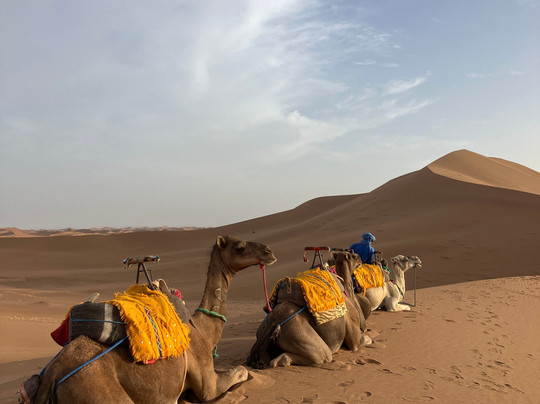 DESERT NOMAD EXPERIENCE-迈哈米德必去景点