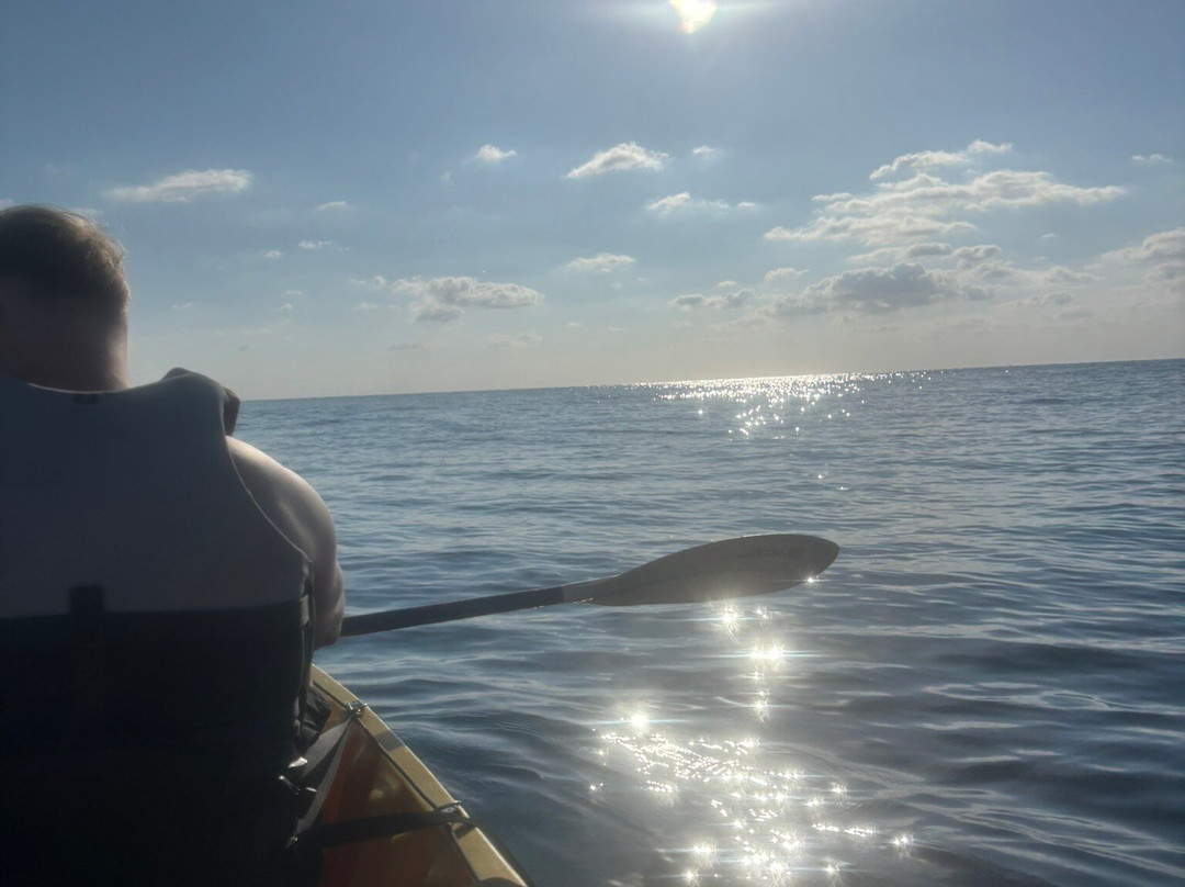 Eco Island Adventure