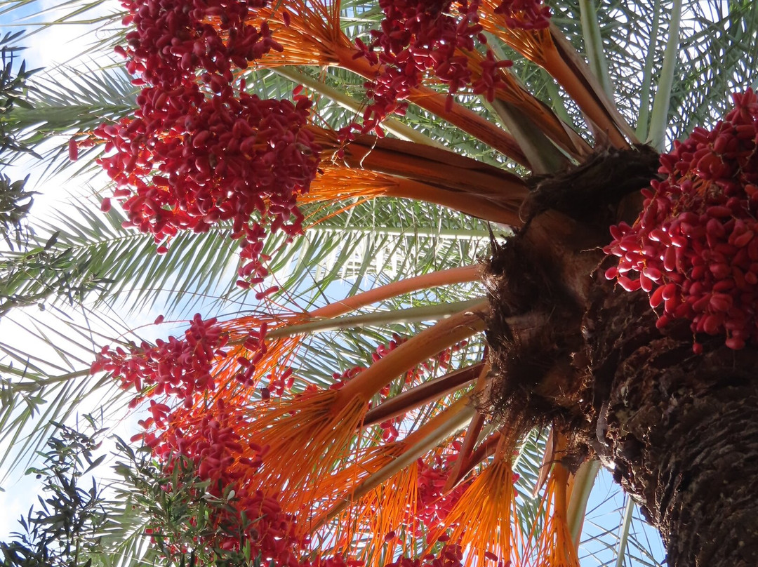 Point De Vue Guesthouse And Restaurants主图