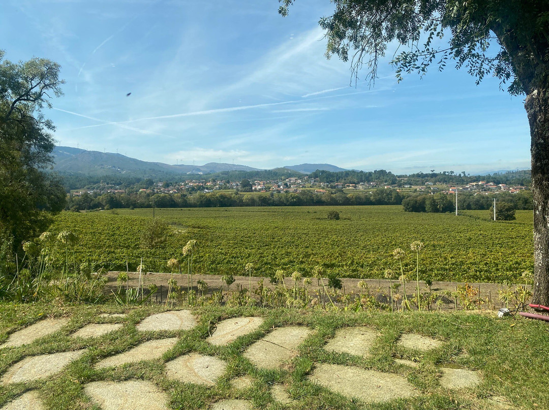 Quinta da Torre - Anselmo Mendes