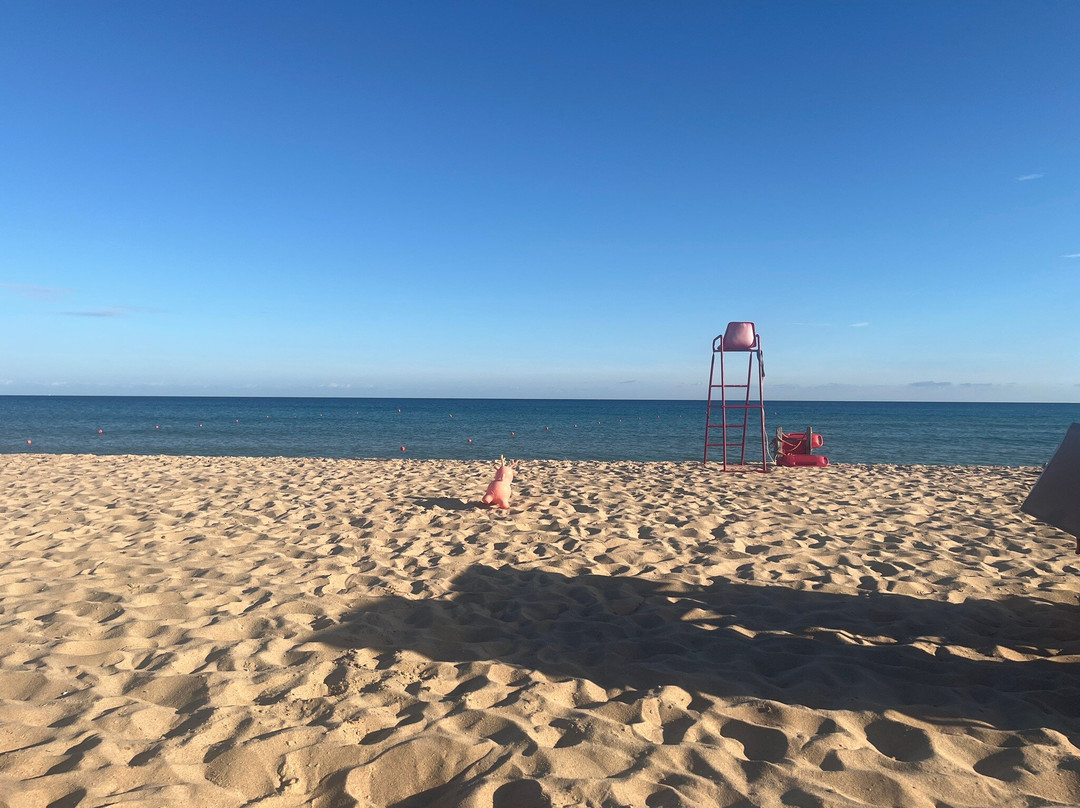 Sa Colonia Beach-Chia必去景点