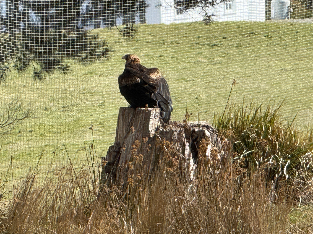 Raptor Refuge-Kettering必去景点
