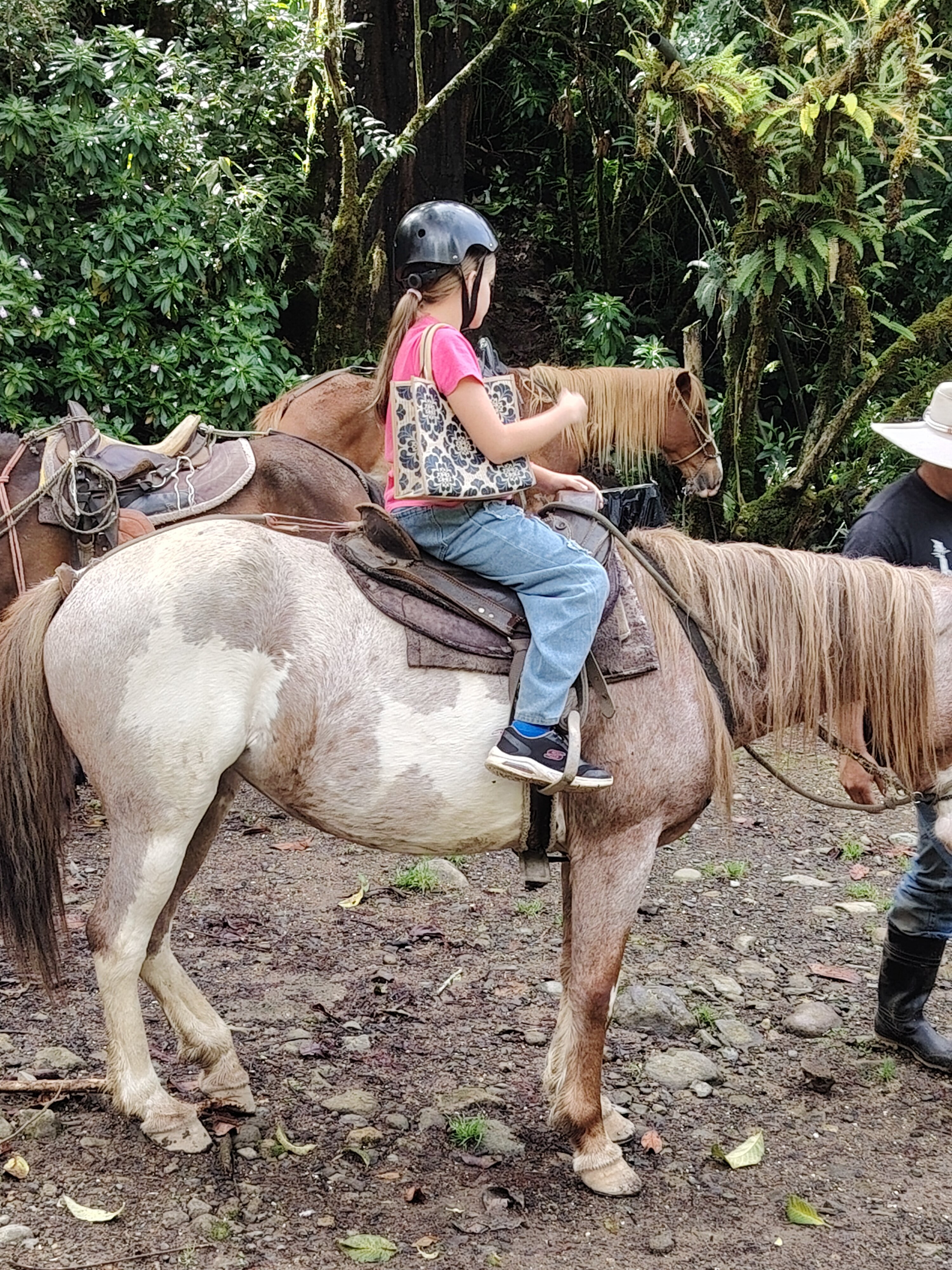 Savegre Hotel Natural Reserve & Spa-官方