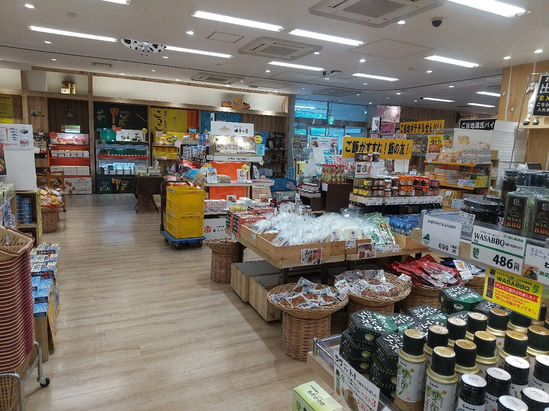 富士川服务区 下行线-富士市必去景点