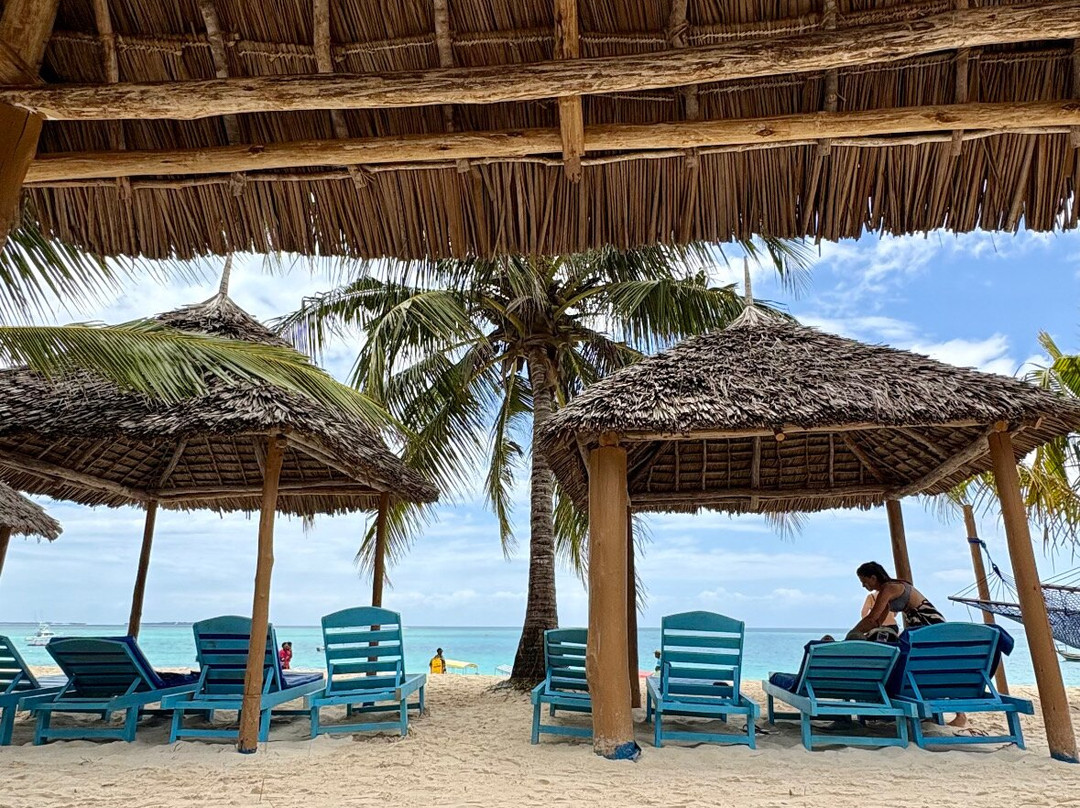 East Safari Tours-阿鲁沙必去景点