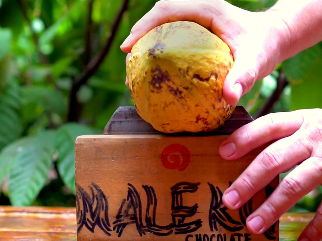 Maleku Chocolate-Upala必去景点
