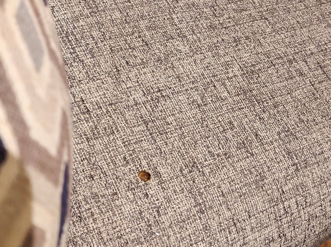 Hotel Grand Canyon主图