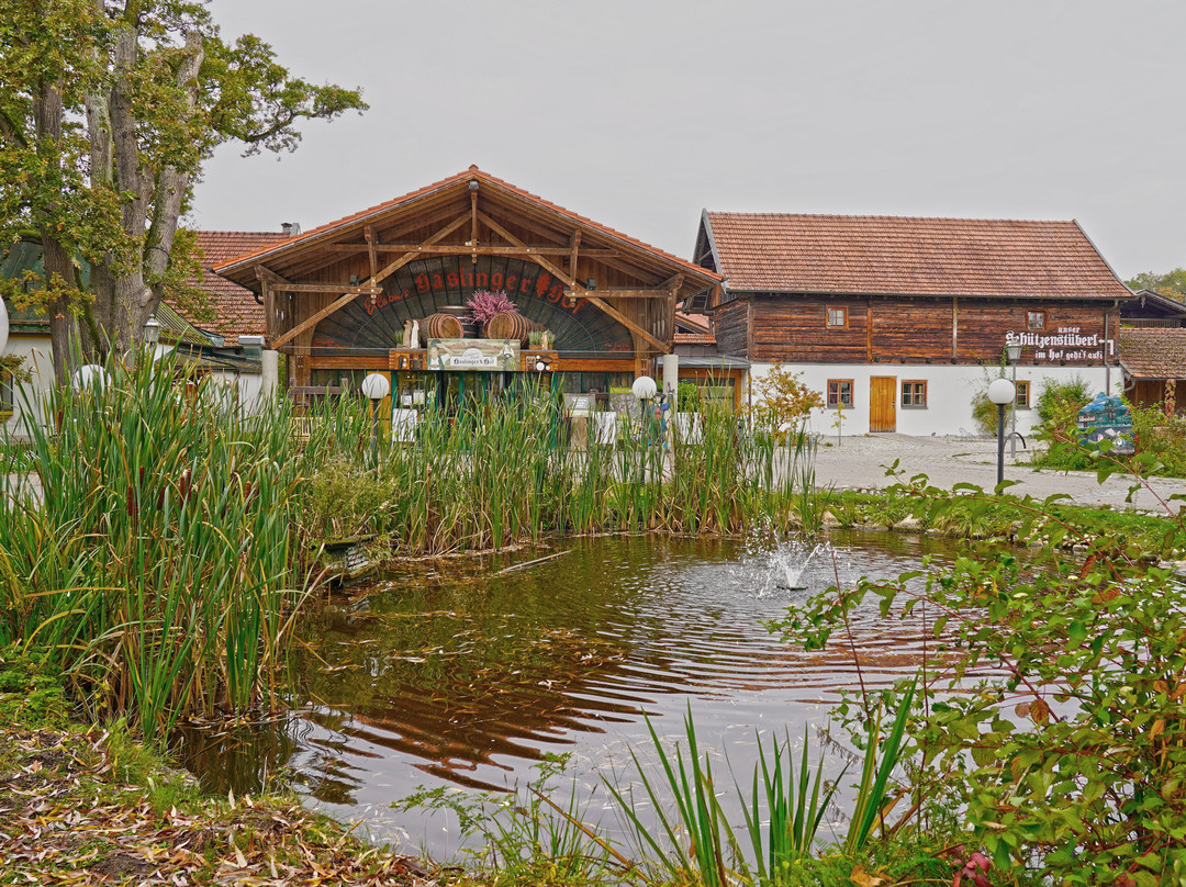 Hotel am Haslinger Hof主图