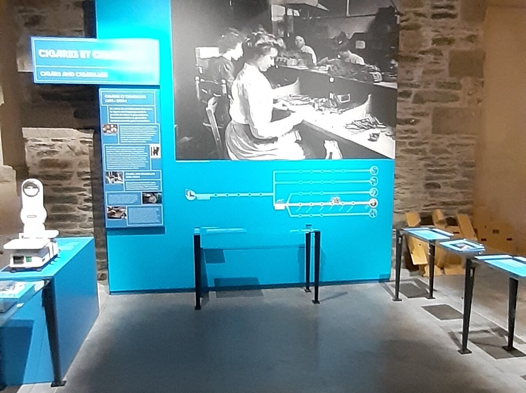 Espace Des Sciences-莫尔莱必去景点