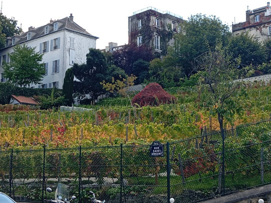 蒙马特葡萄园-巴黎必去景点