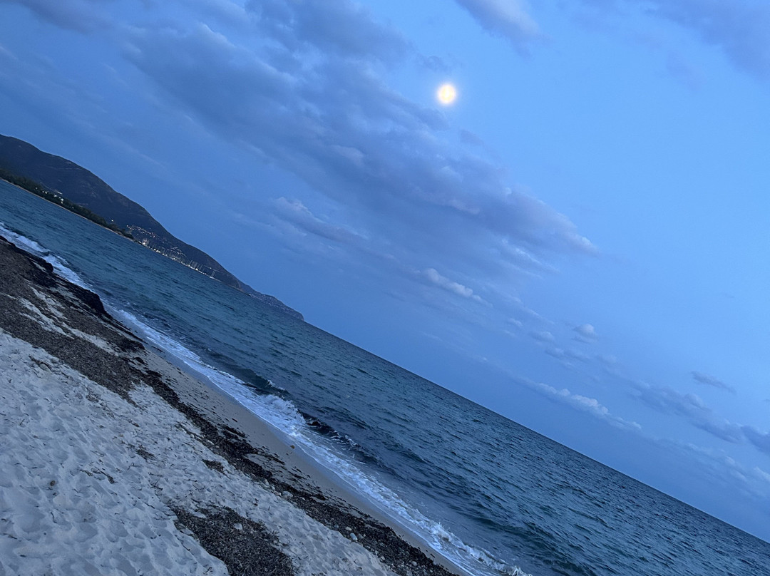 Villamarina42主图