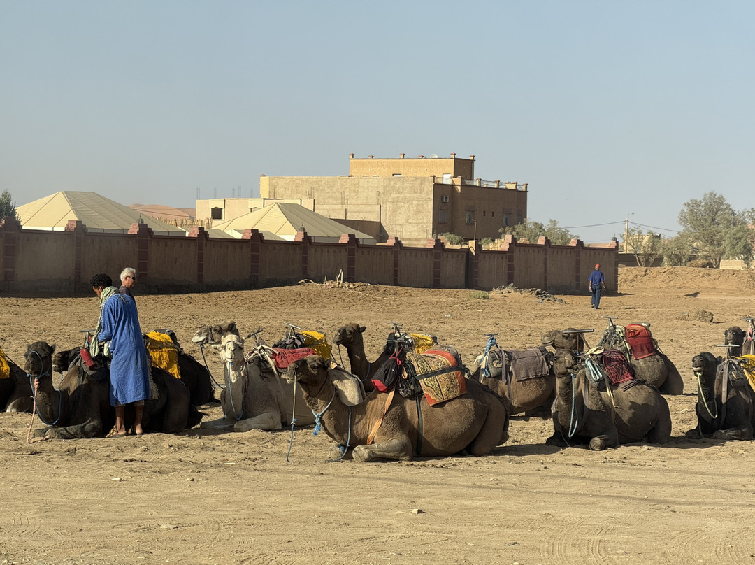 Merzouga Dunestrip Day Tours-梅如卡必去景点