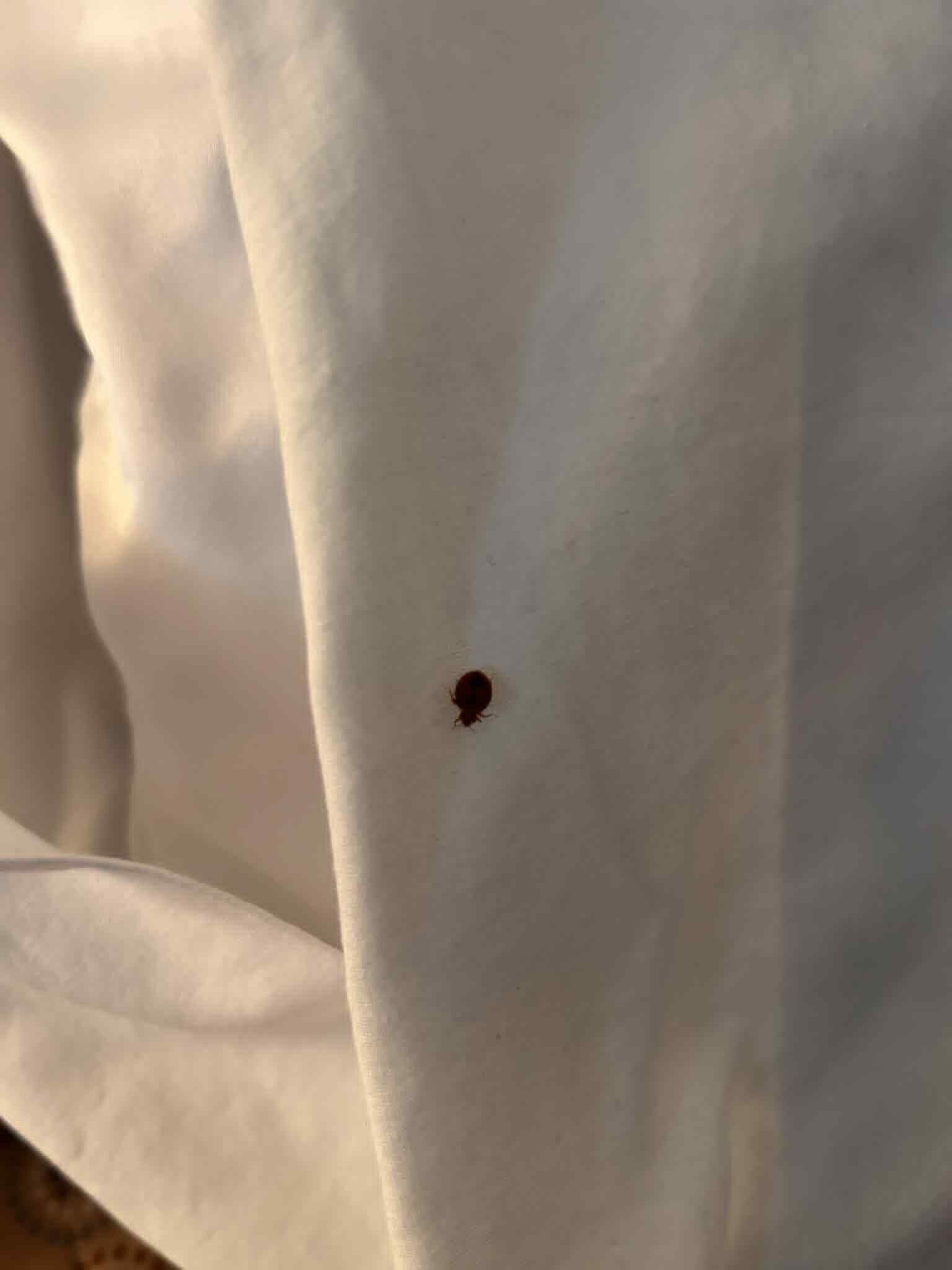 Stardust Motel Timberlea-客卧