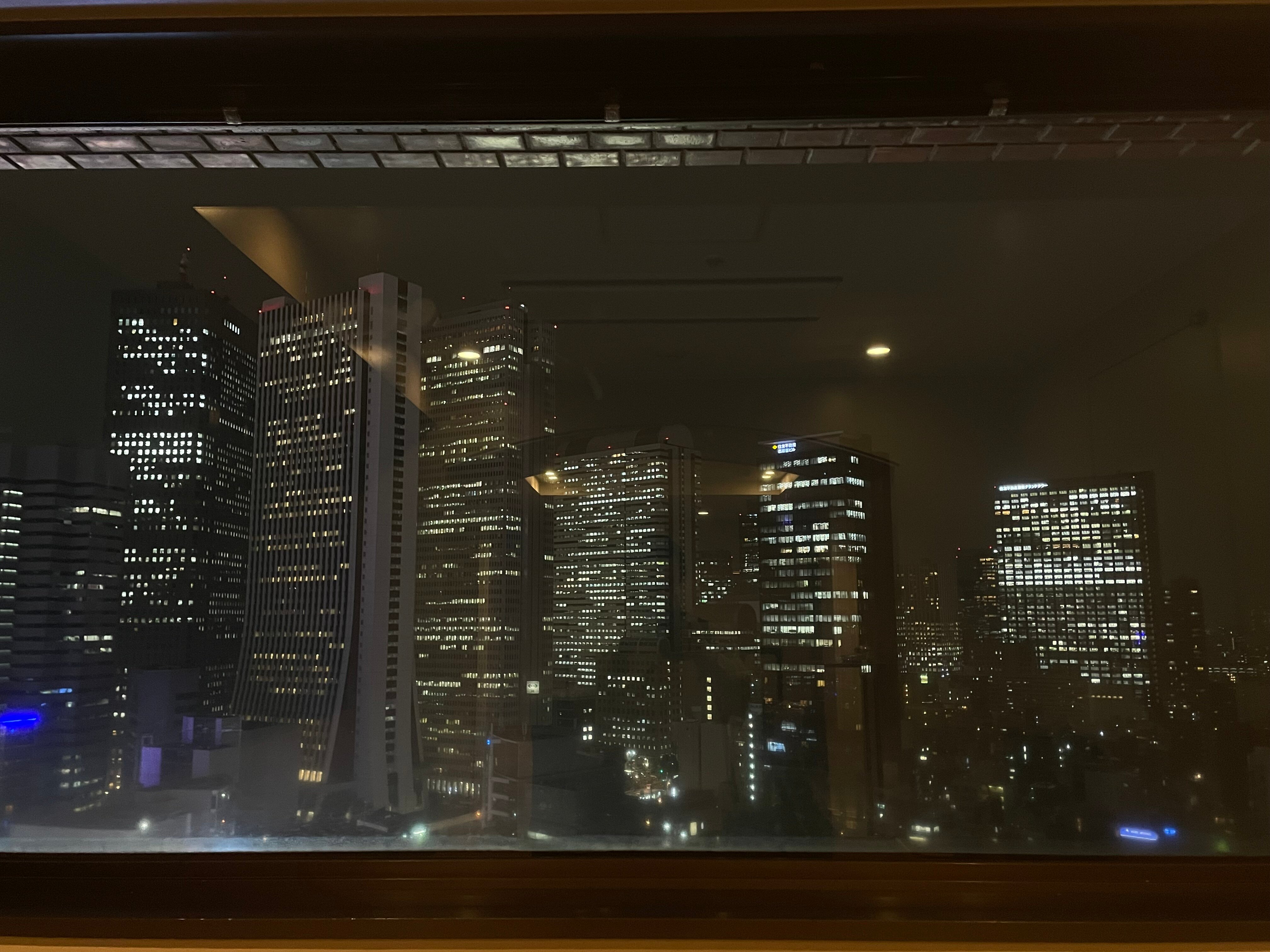 新宿王子大饭店-酒店景观