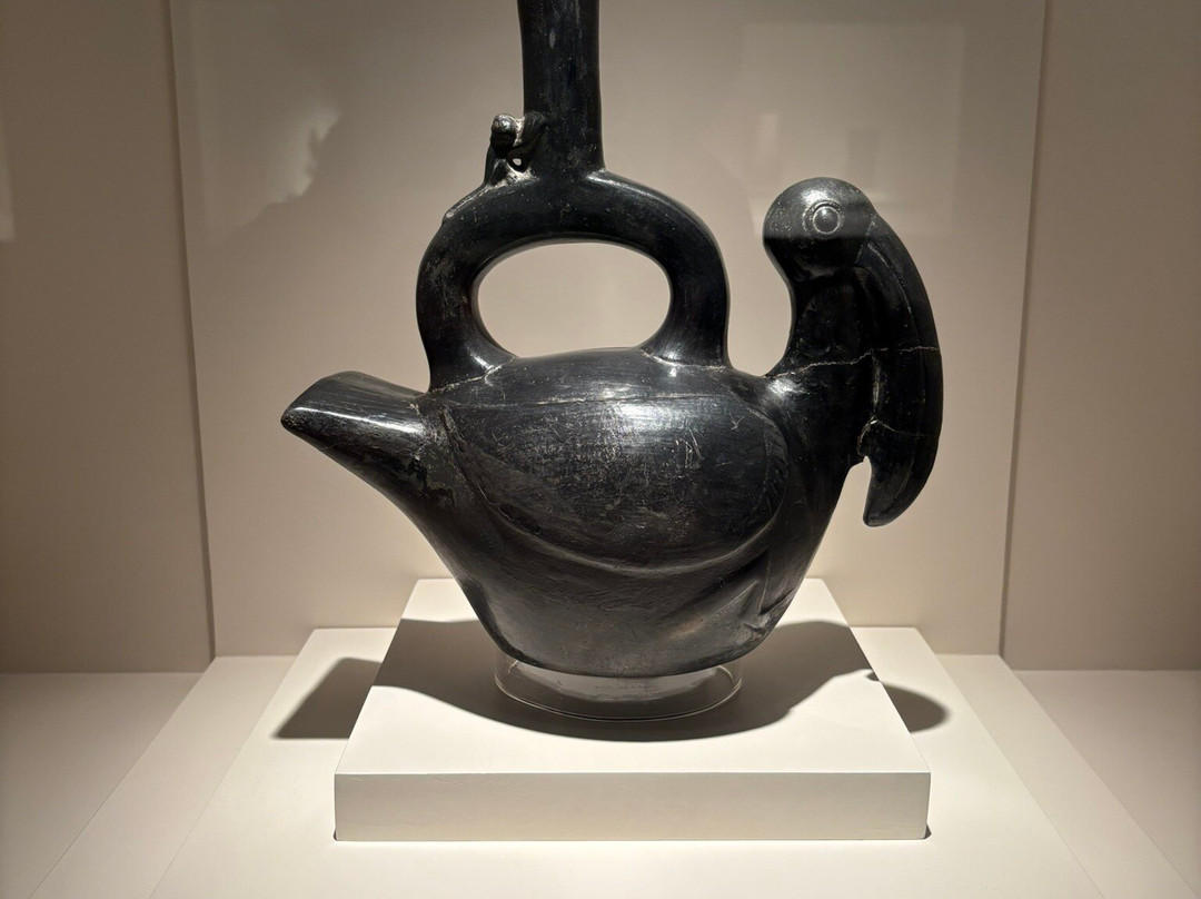 Museo Historico Regional-库斯科必去景点