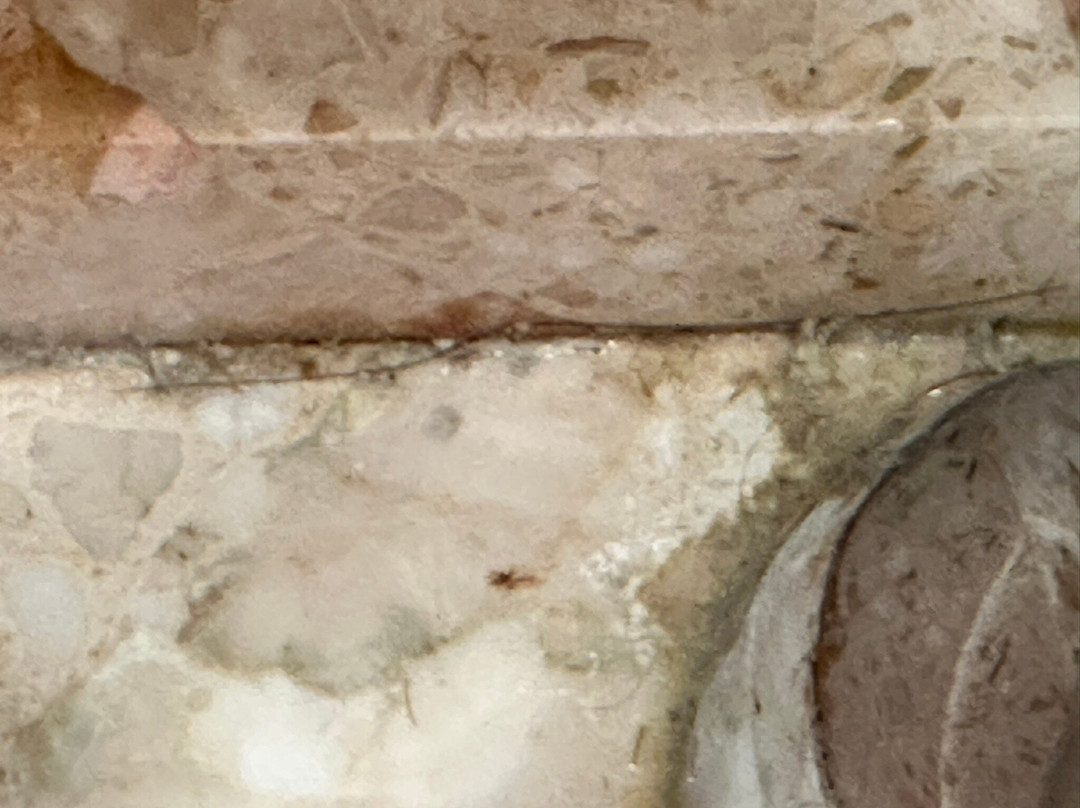 斯坦福德希尔顿酒店&行政会议中心