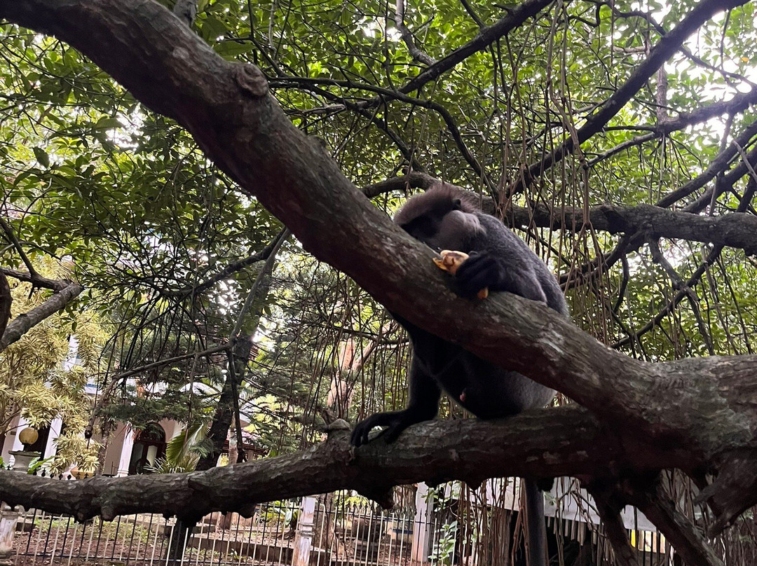 Lucky Boat Safari-班托塔必去景点