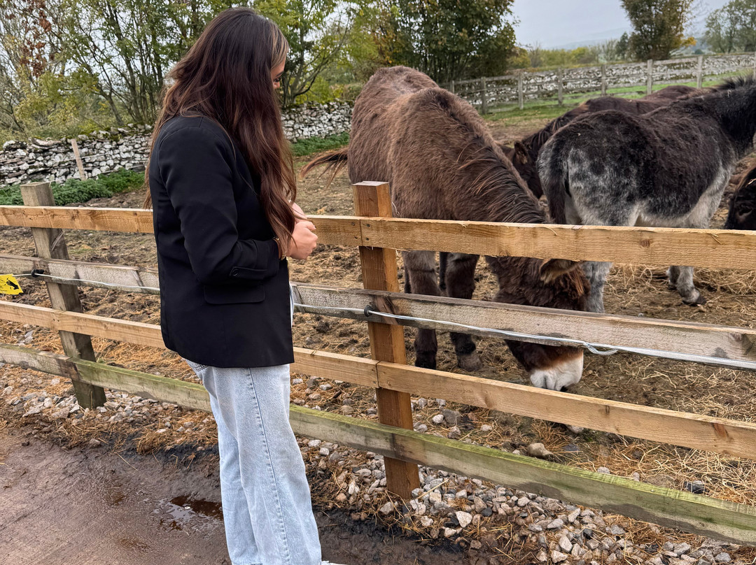 Barnhill Donkeys Retreat Sleagill-Sleagill必去景点