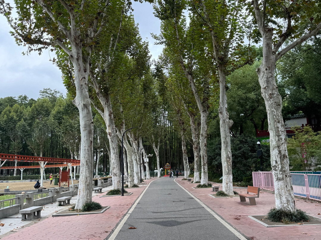 汉口中山公园-武汉市必去景点