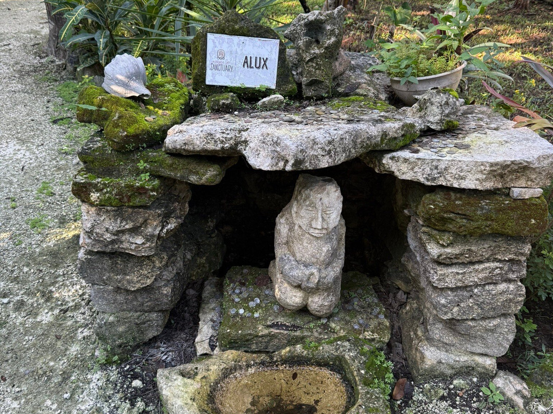 Mayan Bee Sanctuary-San Miguel de Cozumel必去景点