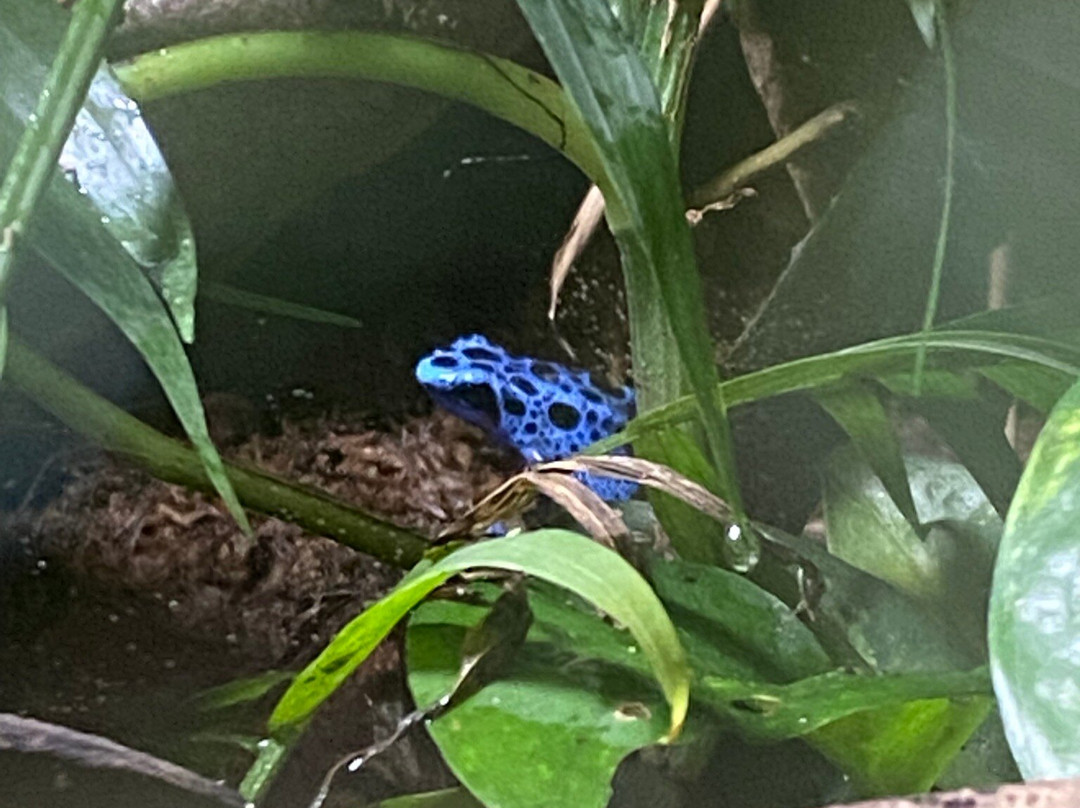 Northumberland Zoo-莫佩思必去景点