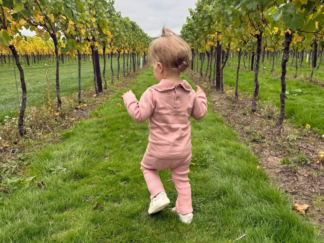 Balfour Winery-Staplehurst必去景点