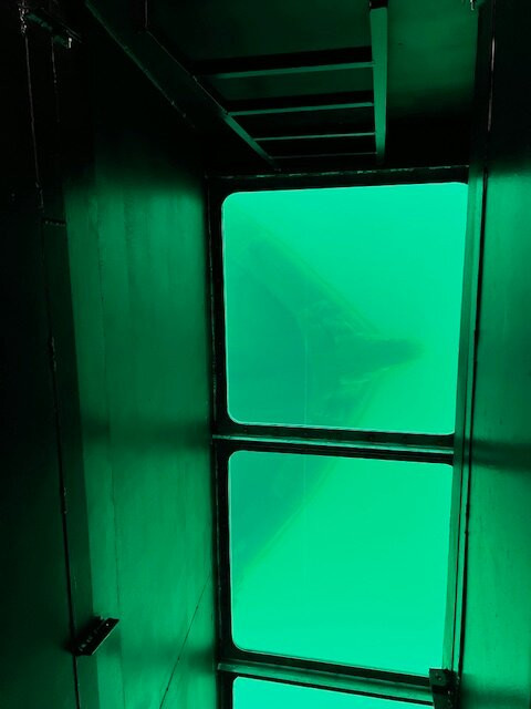 Glass Bottom Shipwreck Tours-缪尼辛必去景点