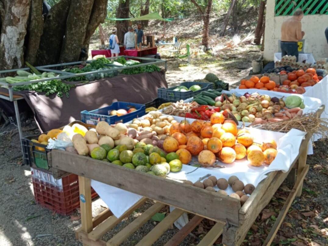 Feria De Emprendedores Playa Pelada-诺萨拉必去景点