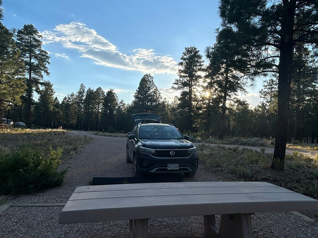 Kaibab National Forest-Jacob Lake必去景点