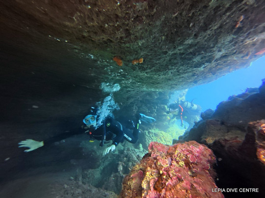 Lepia Dive Centre-林多斯必去景点
