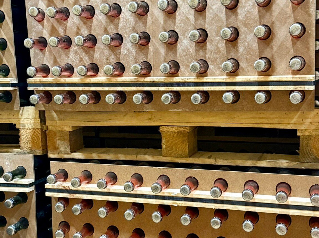 Cava Sola Raventos-桑特萨杜尔尼达诺亚必去景点