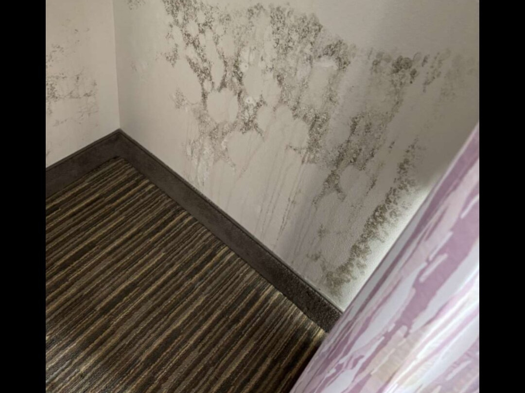 Wyndham Garden New Roads / False River主图