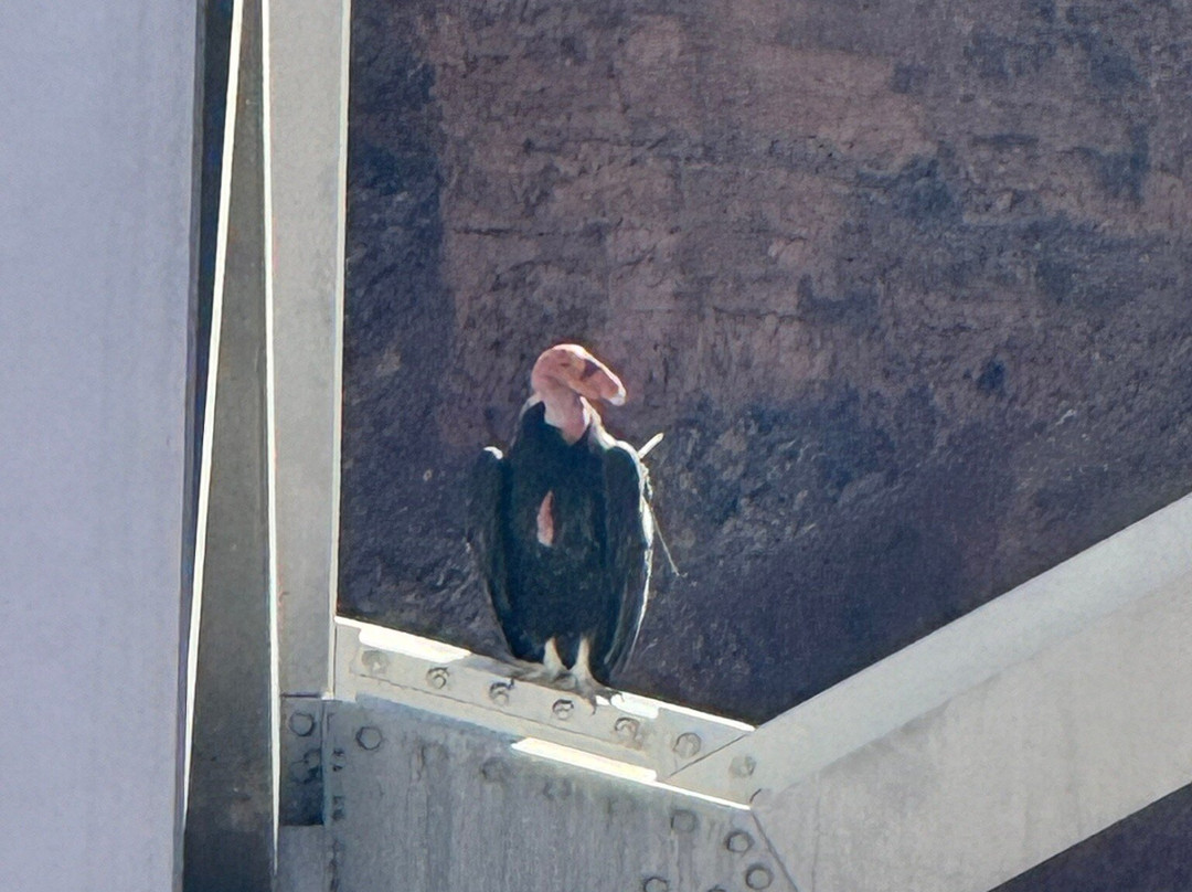 Kayak Horseshoe Bend-大理石峡谷必去景点