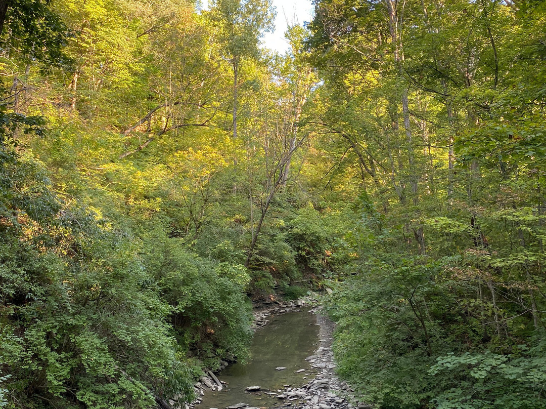 Sharon Woods-沙伦维尔必去景点