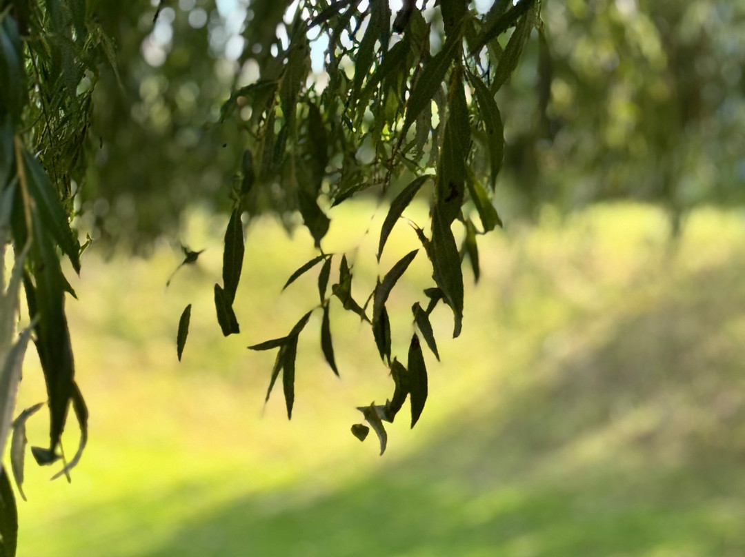 Ford Green Hall-特伦特河畔斯托克必去景点