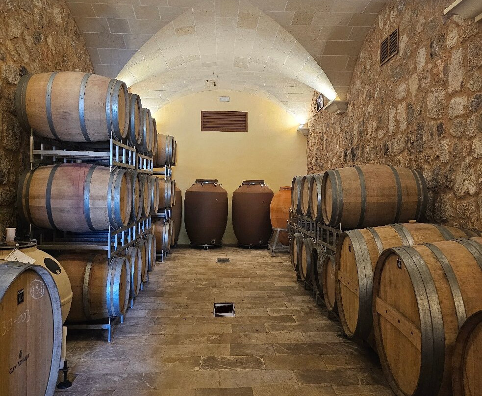 Bodegas Can Vidalet-Pollenca必去景点