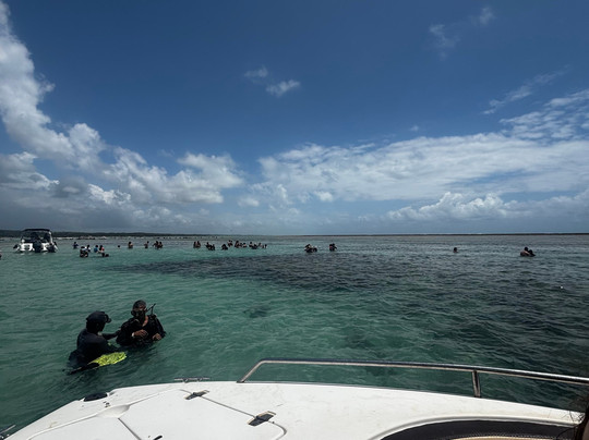 Maceió Dreams Tour-Maceio必去景点