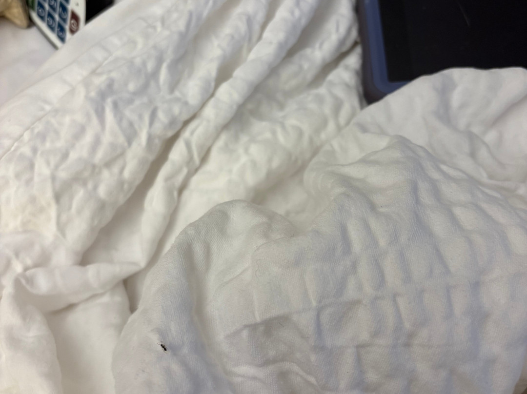 Holiday Inn Express & Suites Schererville By IHG主图