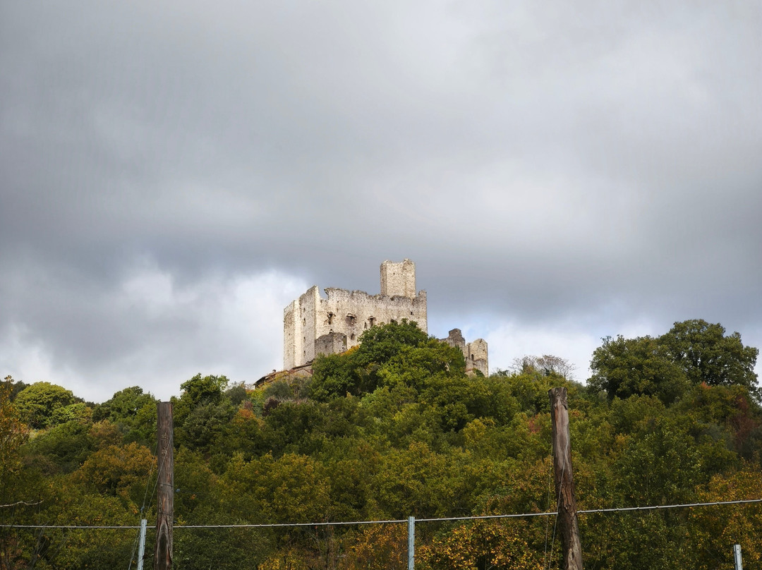 Ecologico Tours & Meravigliosa Umbria-Rivotorto必去景点
