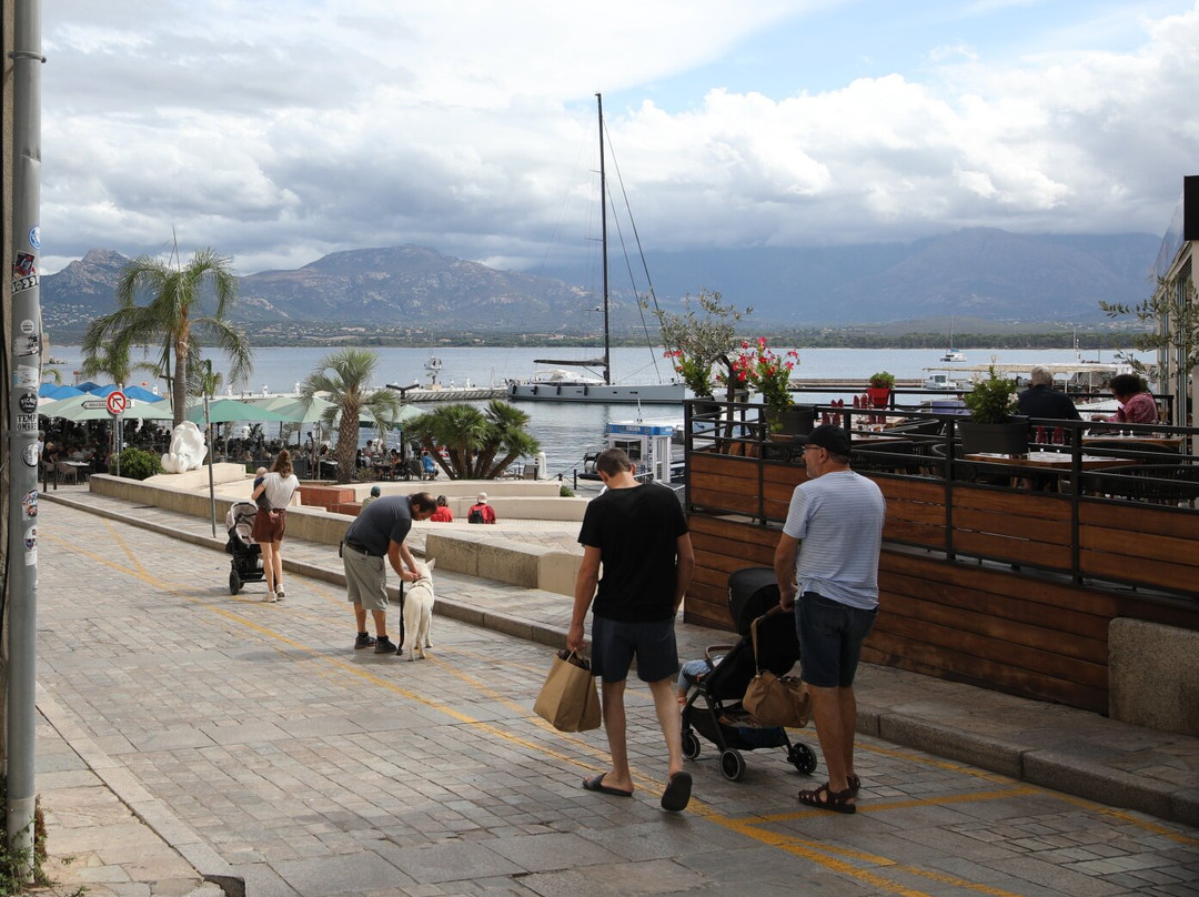 Office de Tourisme Calvi-Balagne-卡尔维必去景点