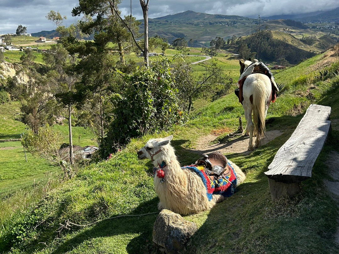Ingapirca Archaeological Complex-Ingapirca必去景点