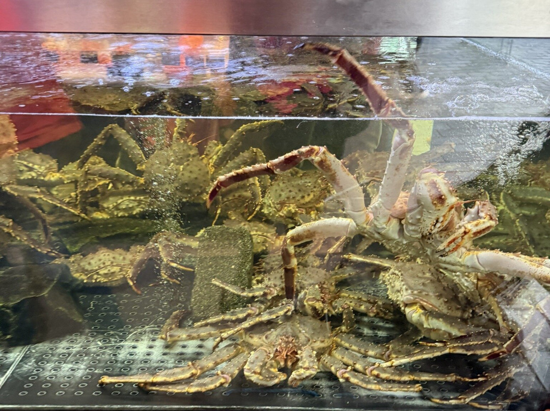 鱼市-卑尔根必去景点